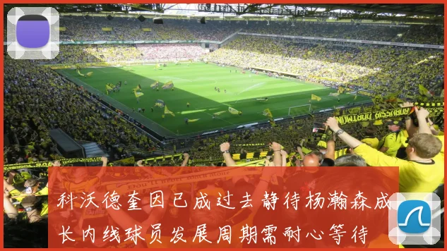 科沃德奎因已成过去静待杨瀚森成长内线球员发展周期需耐心等待