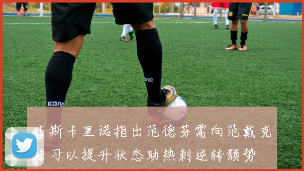 卡斯卡里诺指出范德芬需向范戴克学习以提升状态助热刺逆转颓势