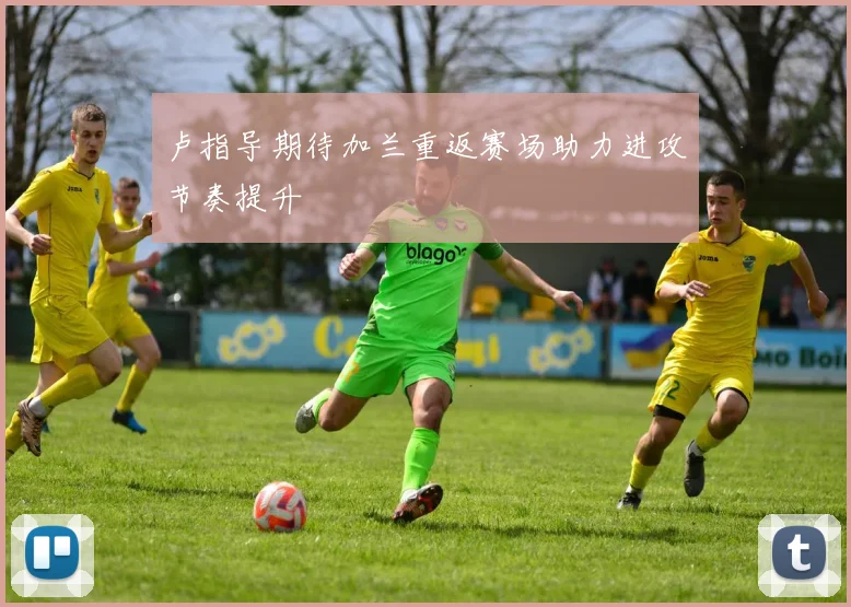 卢指导期待加兰重返赛场助力进攻节奏提升