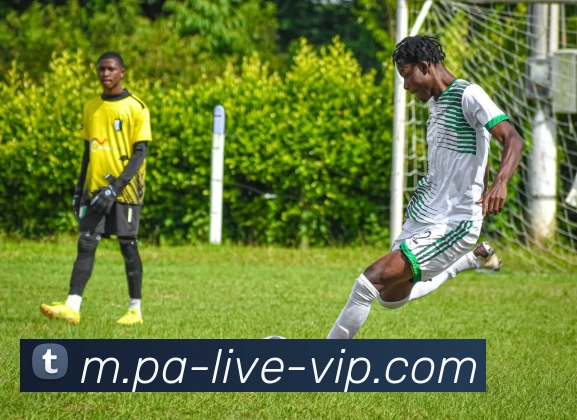 App Interface Preview