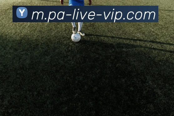 pa真人APP 封面图